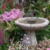 Solar Powered Birdbath to Water Fountain Kit with 4 Nozzle Heads