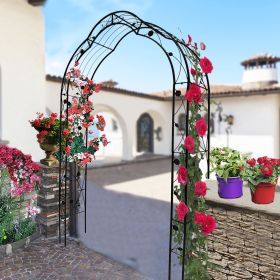 Metal Garden Arch Assemble Freely with 8 Styles Garden Arbor Trellis Climbing Plants Support Rose Arch (Color: Black)